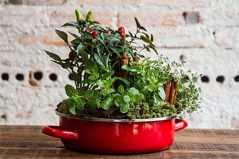 Foto: Reprodução / <a href="http://diy-enthusiasts.com/diy-garden/indoor-herb-garden-grow-kitchen/" target="_blank">DIY Enthusiasts</a>