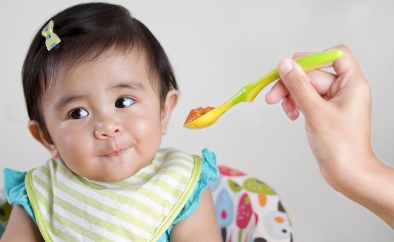 34 receitas de papinha para bebê completas e saborosas