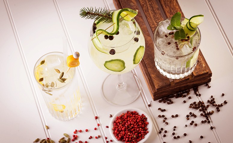 Drinks com gin: 13 receitas para você se deliciar com a bebida da moda