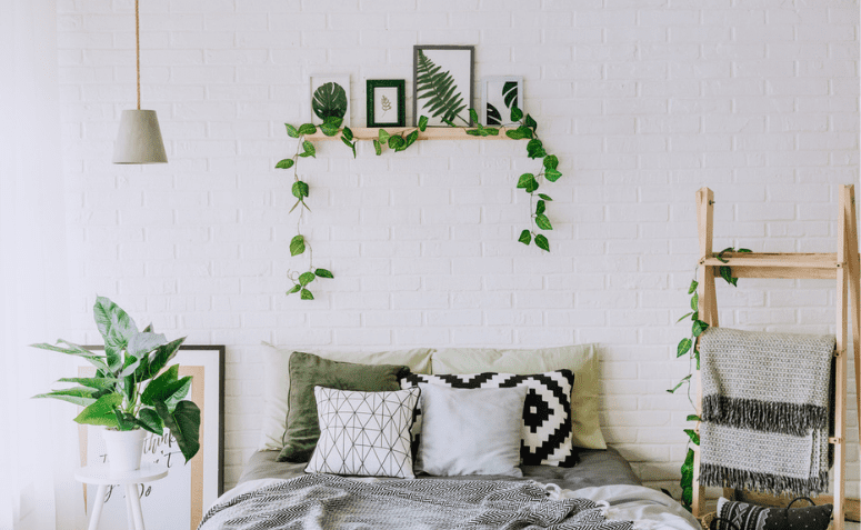 12 plantas para quarto que você precisa conhecer e aderir