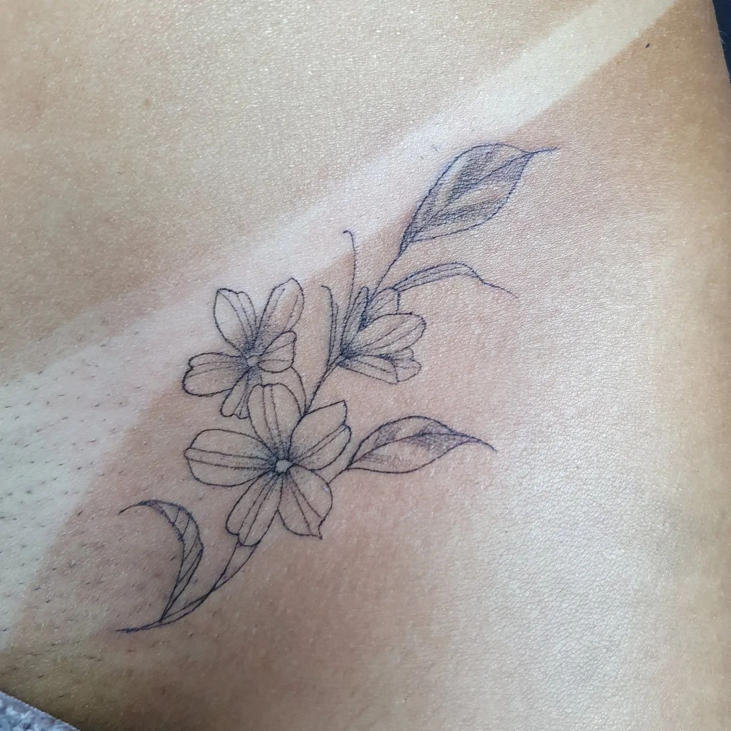 tatuagem na virilha